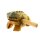 Sound Frog 8 cm (3.1") - Varnished